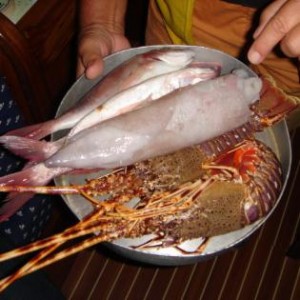 Fisch Griechenland Yachtcharter